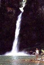 Nandroya Falls Walk